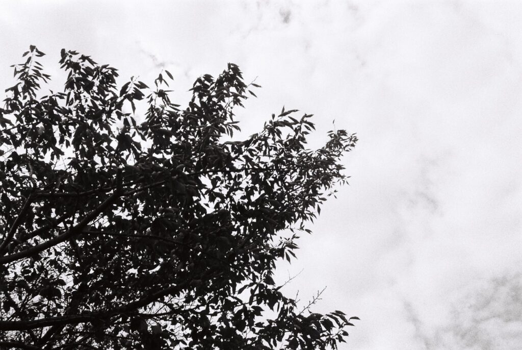 Rollei35 S